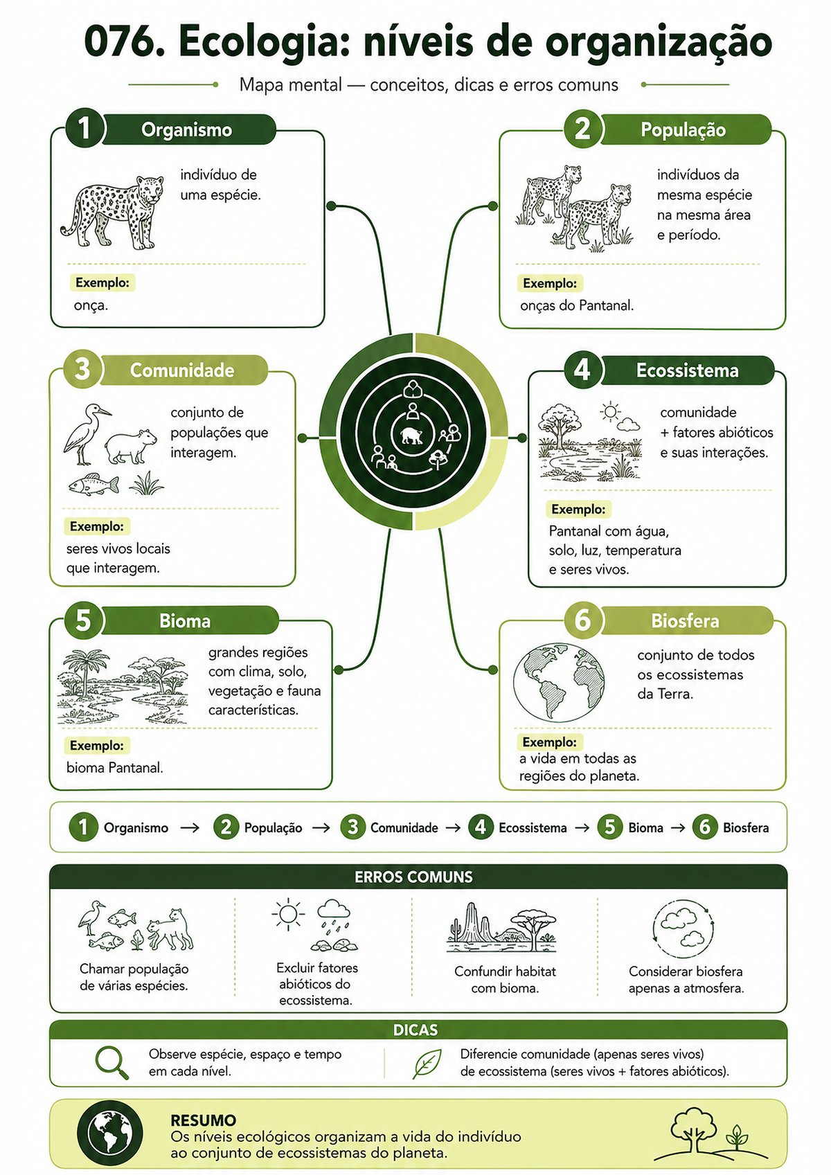 Tablet exibindo uma amostra real do mapa mental de Ecologia: n&iacute;veis de organiza&ccedil;&atilde;o